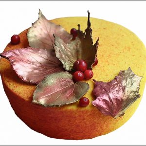 Orange Mousse, Apple and Cranberry Compote and Hazelnut Dacquoise on Hazelnut Brownie ~ Autumn Entremet