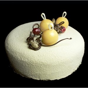 Almond Joconde with Cranberry Gellee on Coconut Dacquoise ~ White Christmas Entremet
