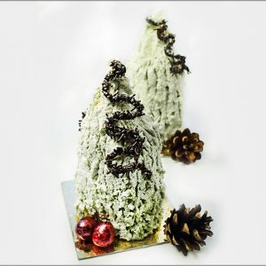 Pistachio Mousse with Cranberry Crémeux on Pistachio Joconde ~ Christmas Trees Dessert Recipe